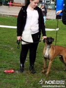 sam_5804306.jpg