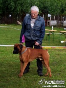 sam_5805307.jpg