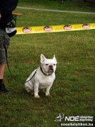 sam_5885377.jpg