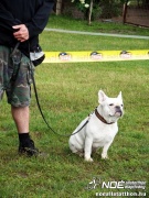 sam_5889381.jpg