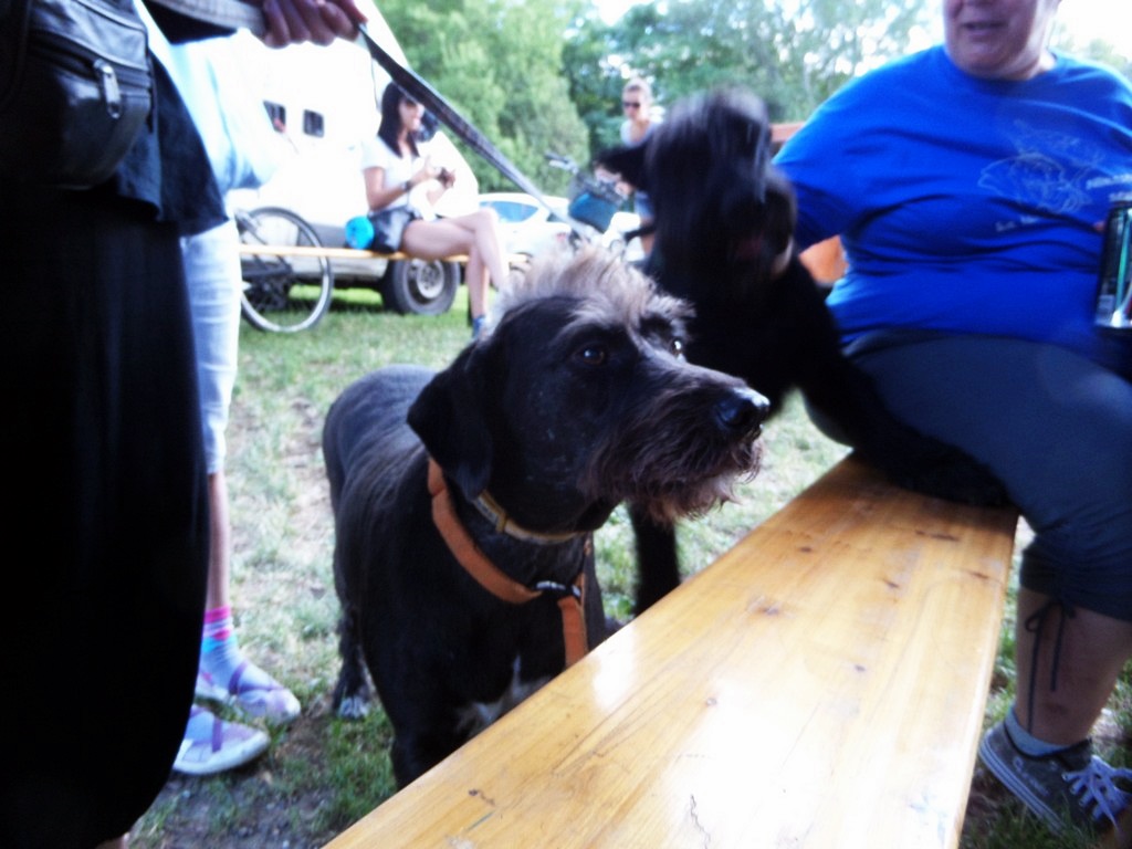 sam_7538085.jpg
