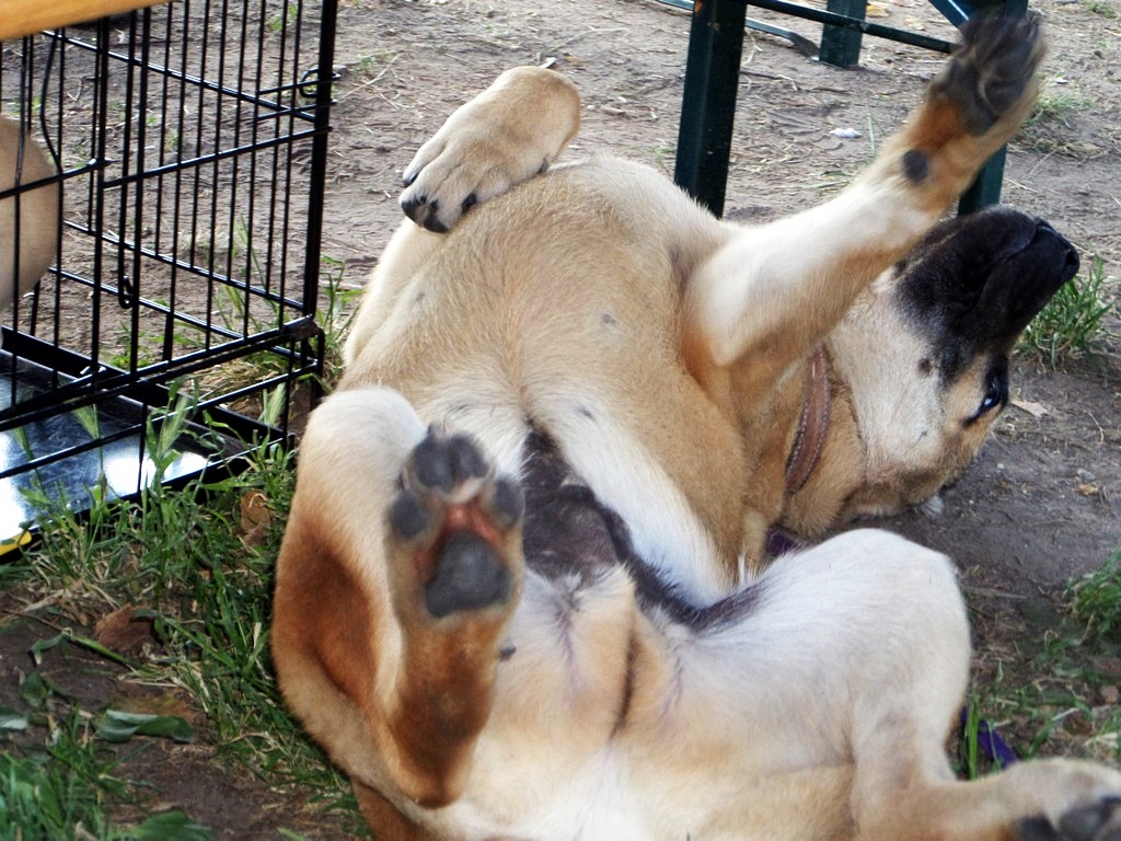 sam_7546091.jpg