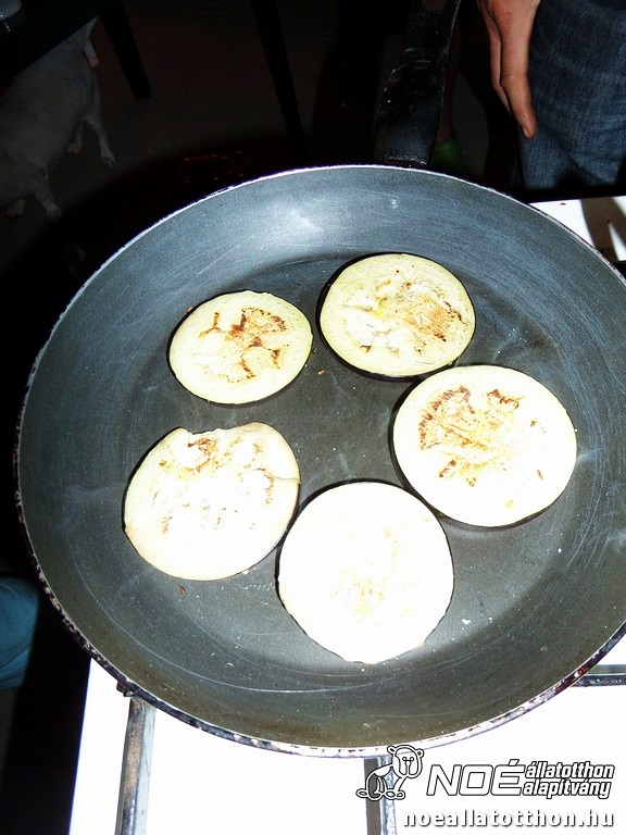 sam_8244191.jpg