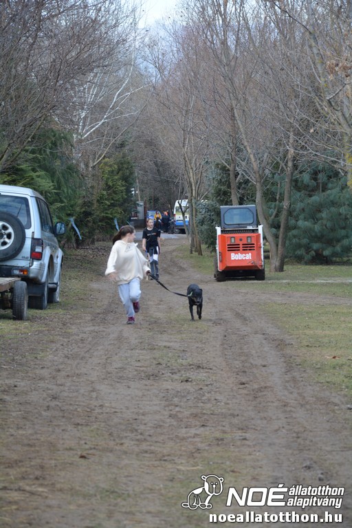 dsc_0017_3.jpg