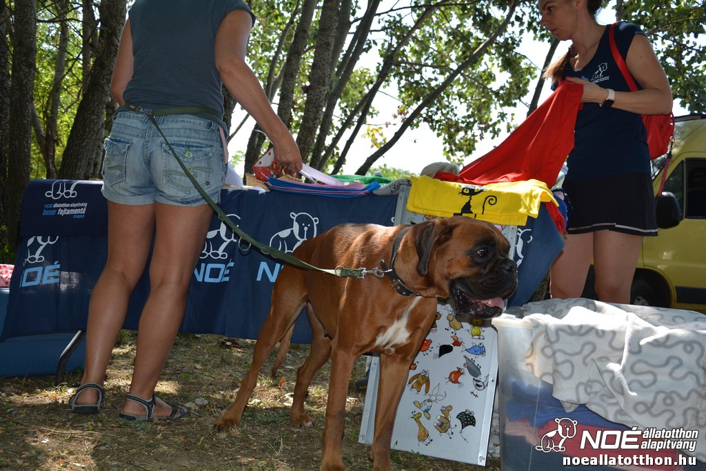 dsc_0077_4.jpg