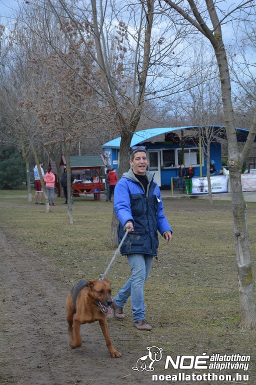 dsc_0132_3.jpg
