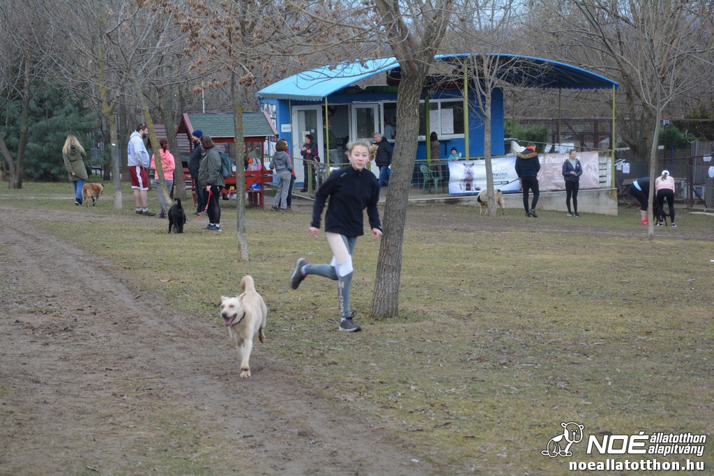 dsc_0142_2.jpg