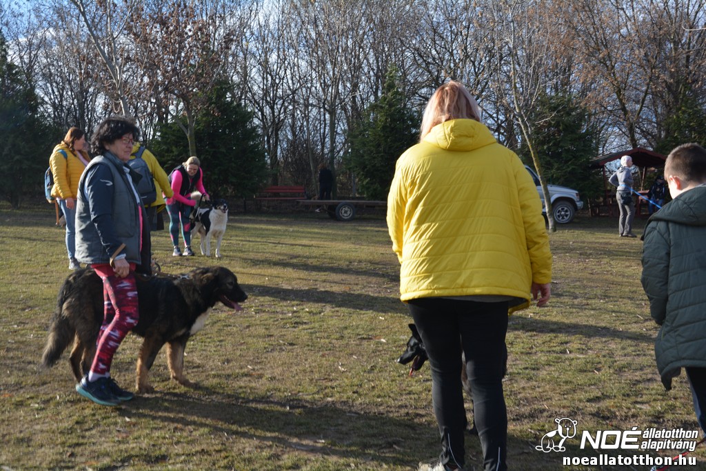 dsc_1438.jpg
