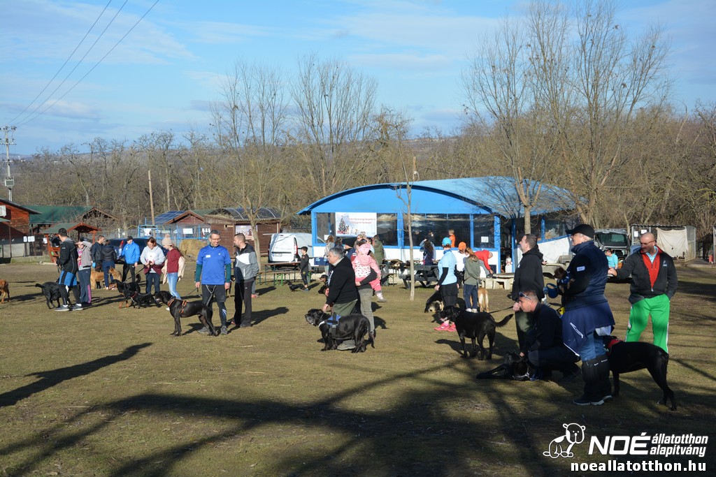 dsc_1452.jpg