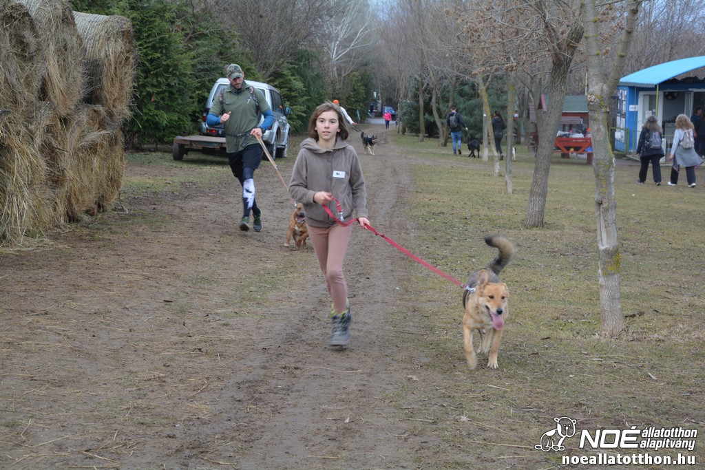 dsc_0087_2.jpg