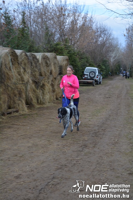 dsc_0095_2.jpg