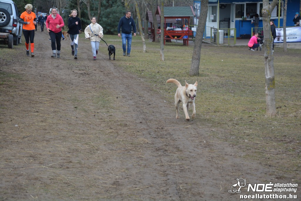 dsc_0114_2.jpg
