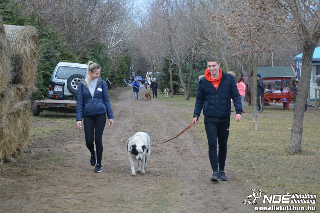 dsc_0127_2.jpg