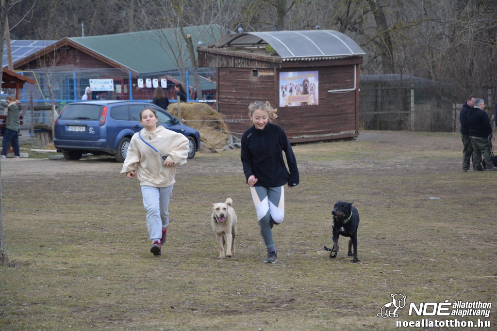 dsc_0148_3.jpg