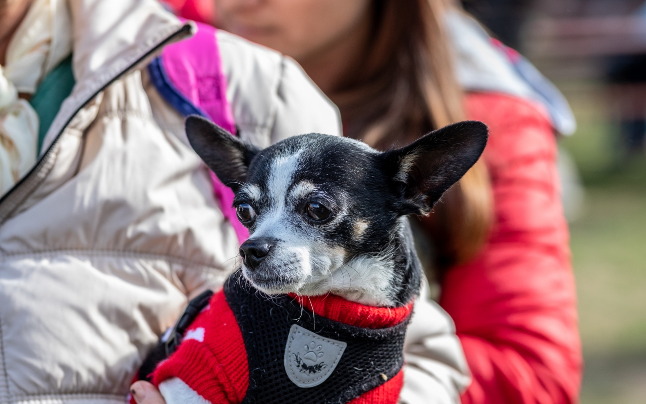 resize_011a2771.jpg