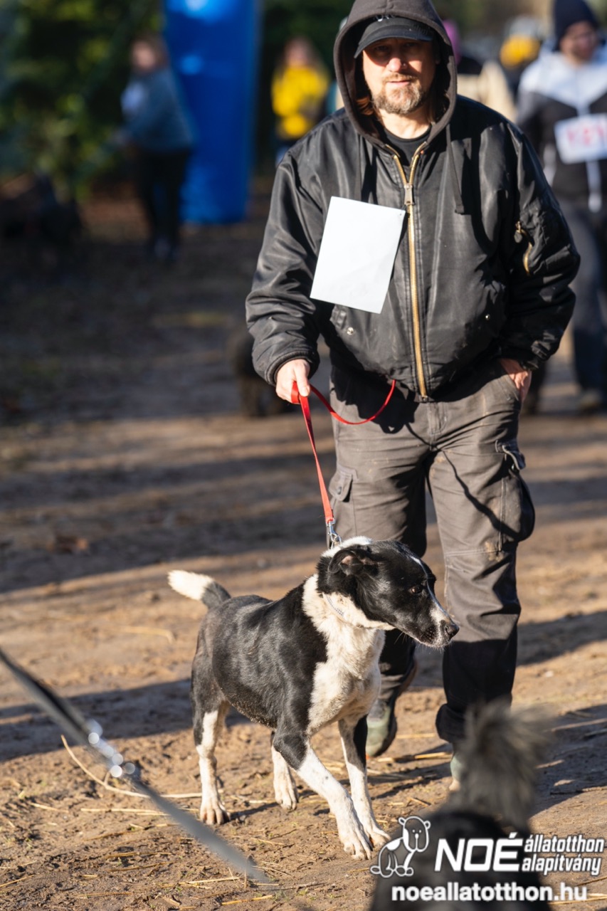 dsc01915_nagy.jpeg