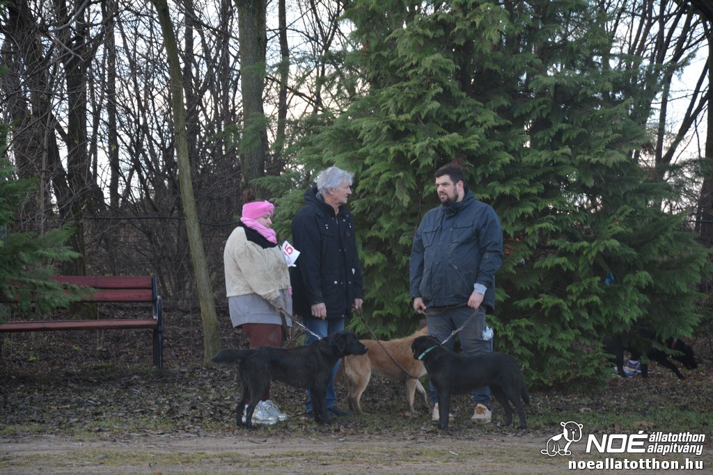 dsc_0977_2.jpg