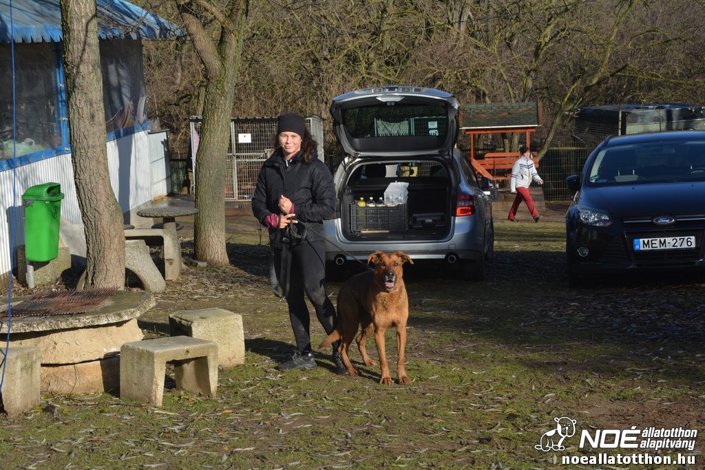 dsc_0991.jpg