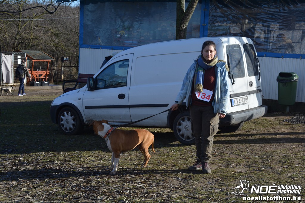 dsc_1003.jpg