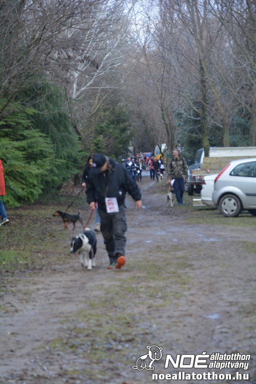 dsc_1212.jpg