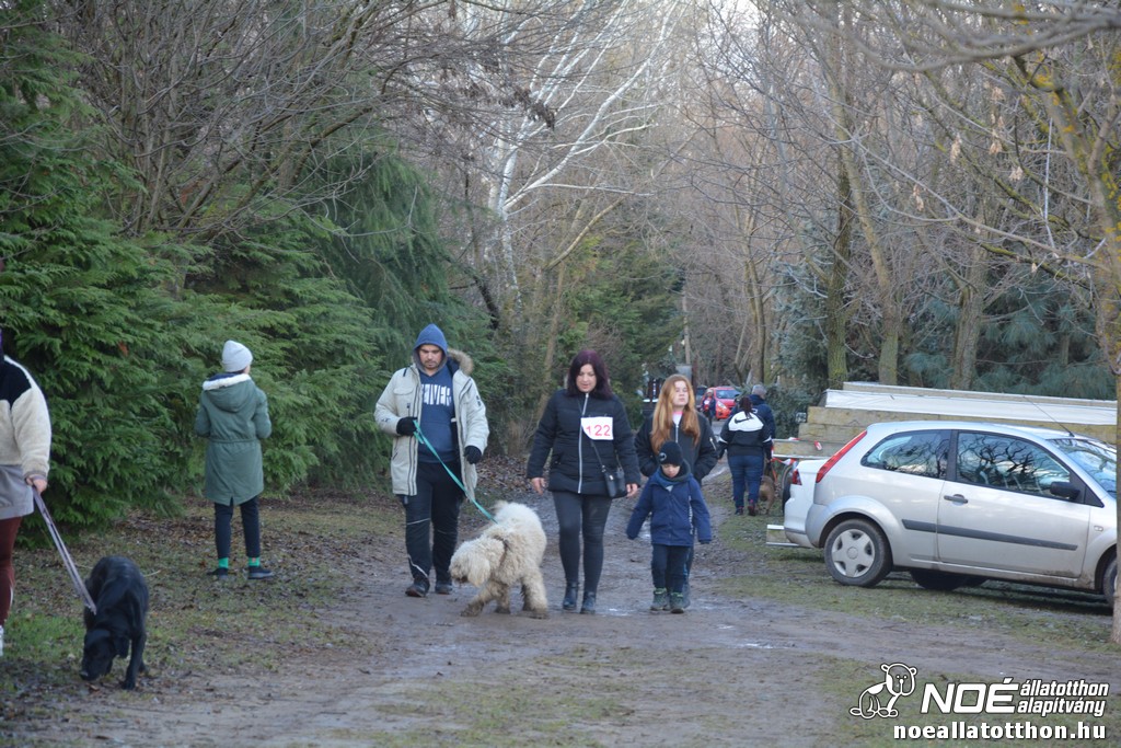 dsc_1273.jpg