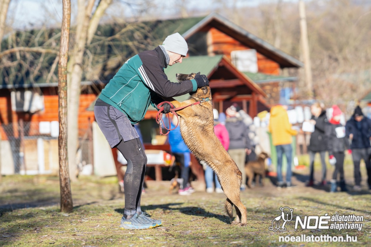 dsc01813_nagy.jpeg