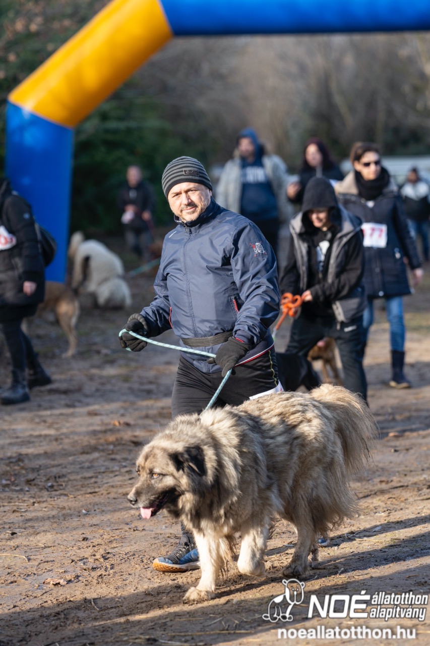 dsc01926_nagy.jpeg