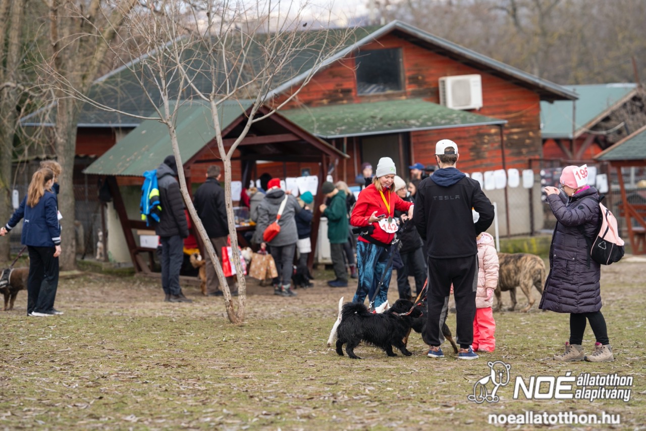 dsc02049_nagy.jpeg
