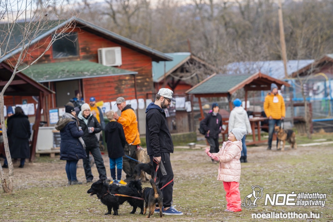 dsc02072_nagy.jpeg