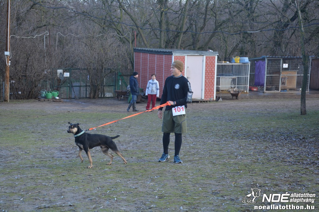 dsc_0973.jpg