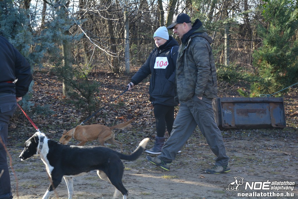dsc_1078_2.jpg