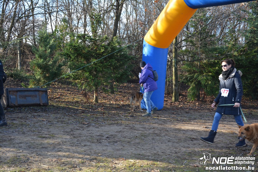 dsc_1087_2.jpg