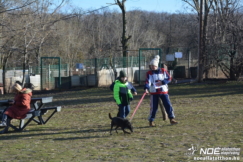 dsc_1101.jpg