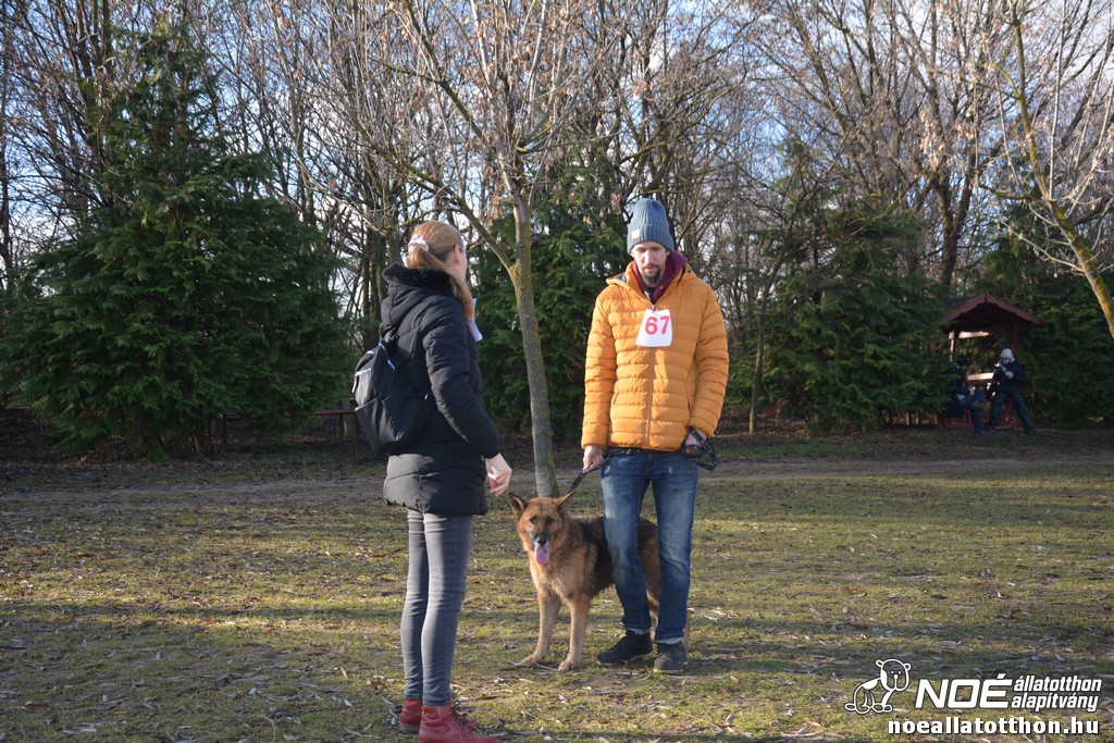 dsc_1103_2.jpg