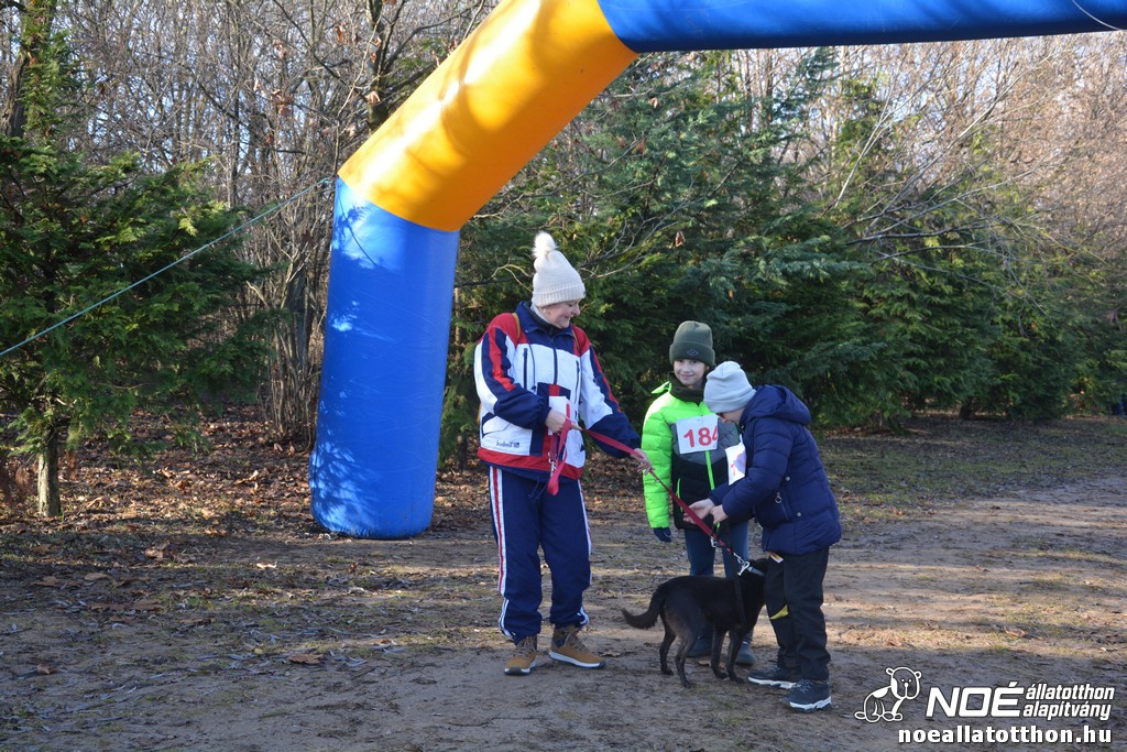dsc_1107_2.jpg