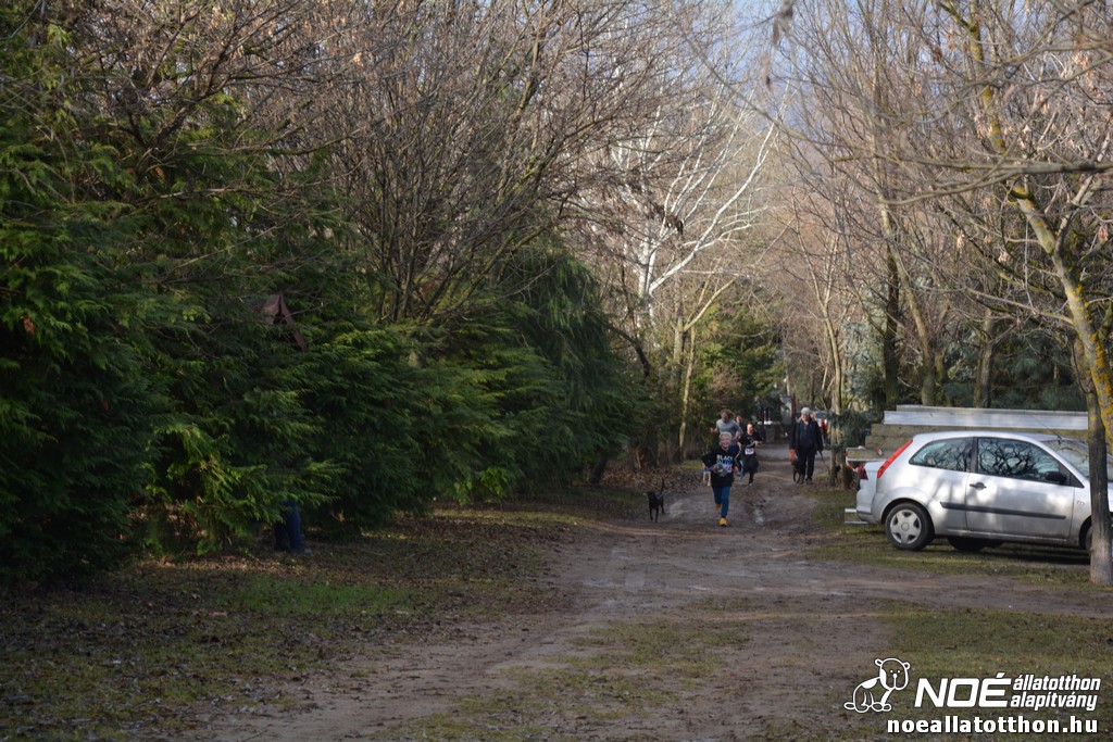 dsc_1116.jpg
