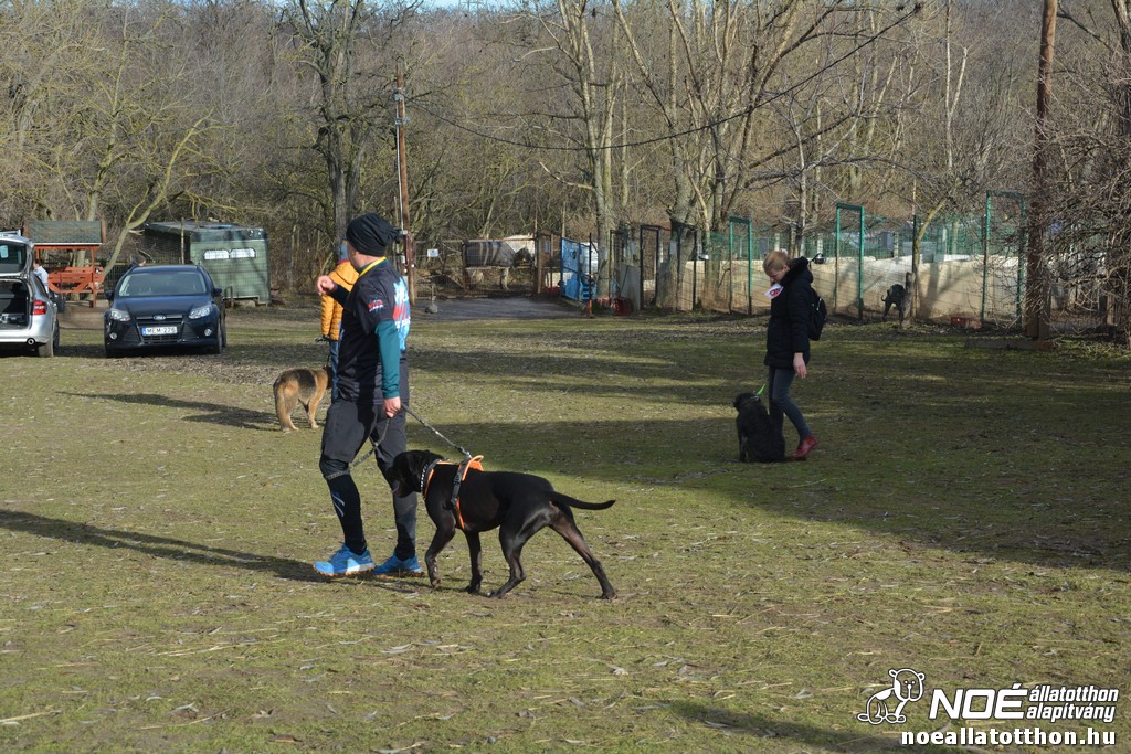 dsc_1126.jpg