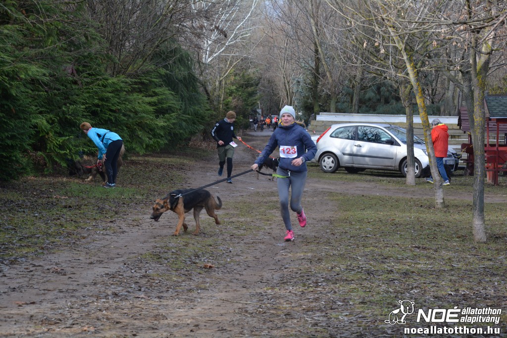 dsc_1129_2.jpg