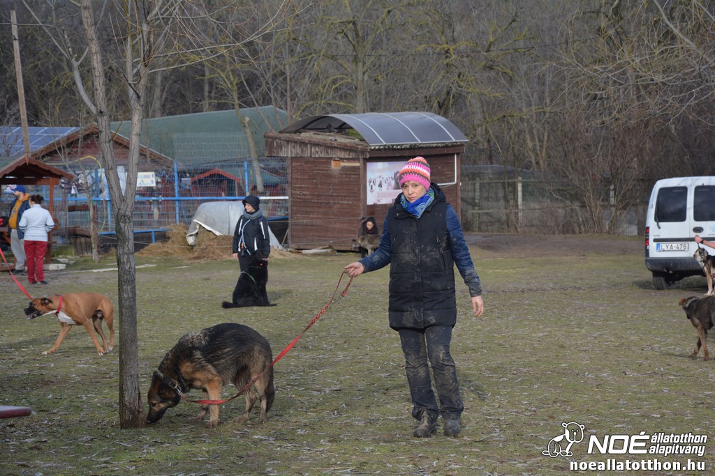 dsc_1154_2.jpg