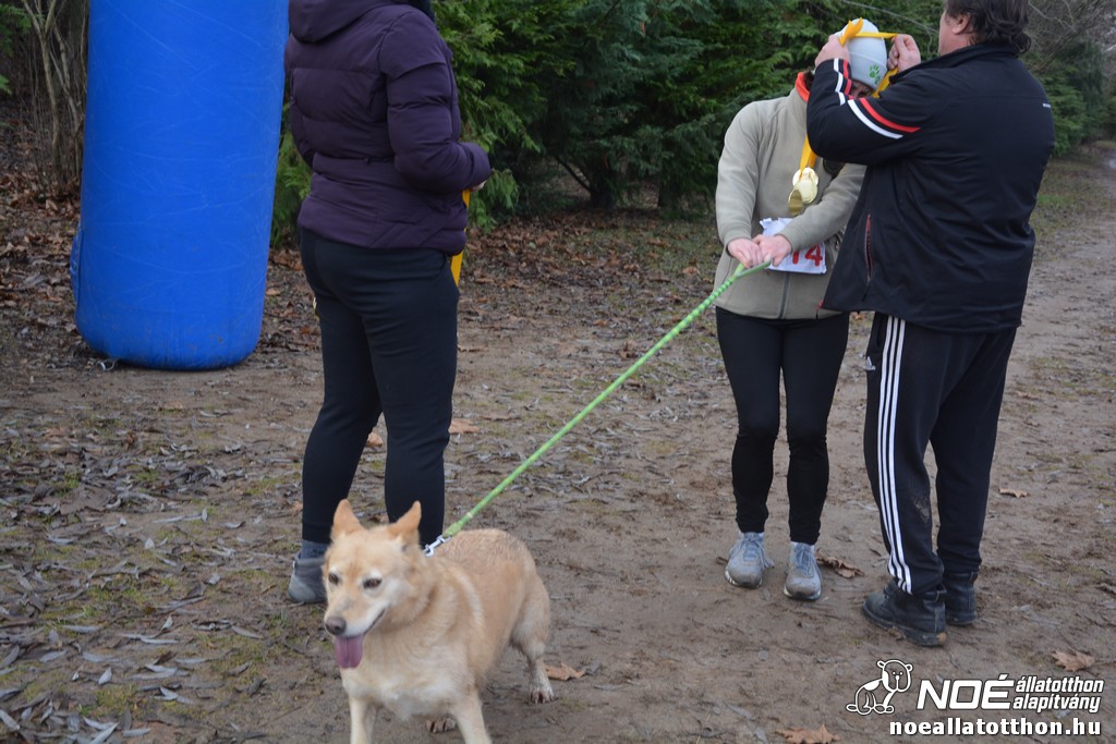 dsc_1157.jpg