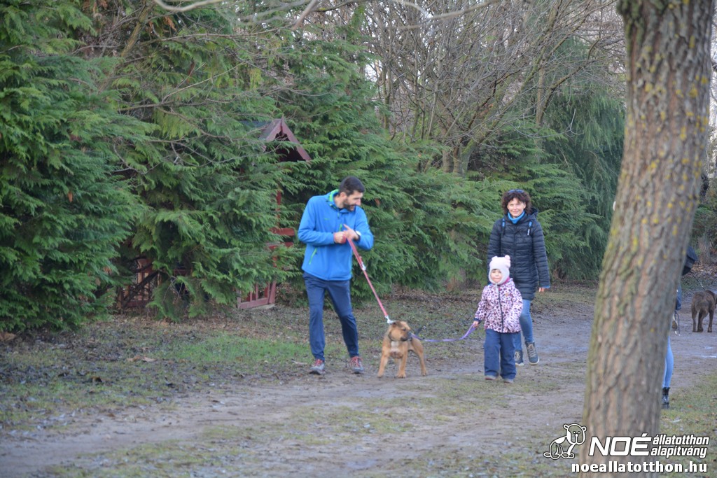 dsc_1248.jpg