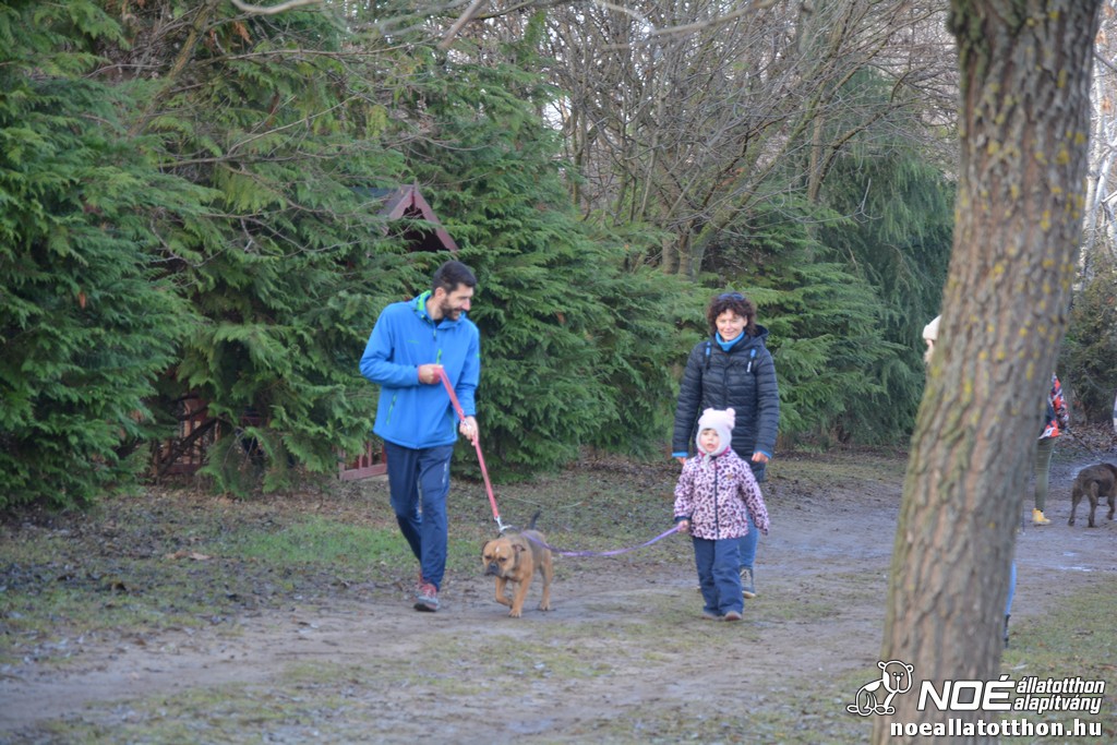 dsc_1249.jpg