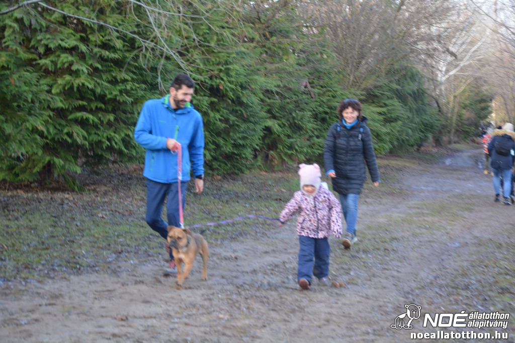 dsc_1250.jpg