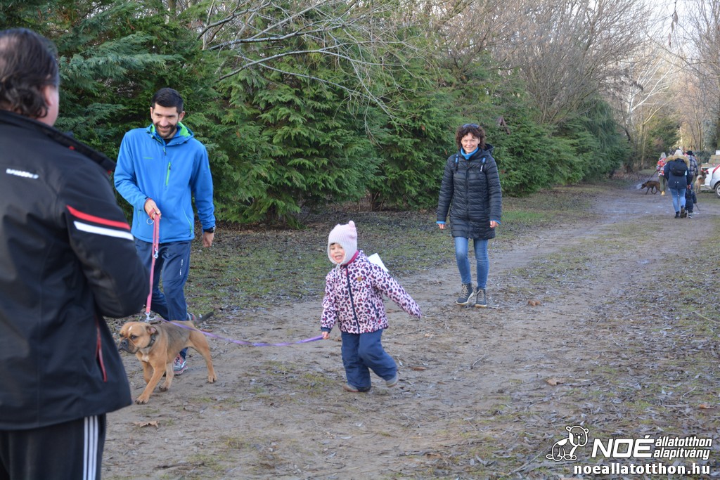 dsc_1251.jpg