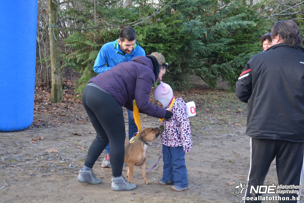 dsc_1252.jpg