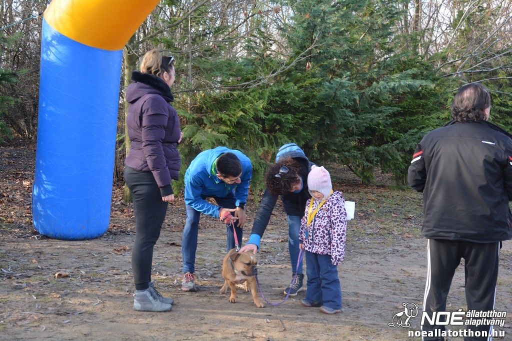 dsc_1254.jpg
