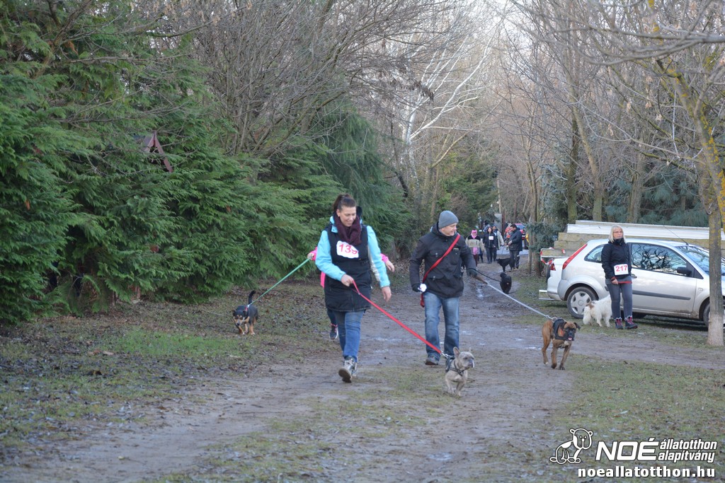 dsc_1264.jpg