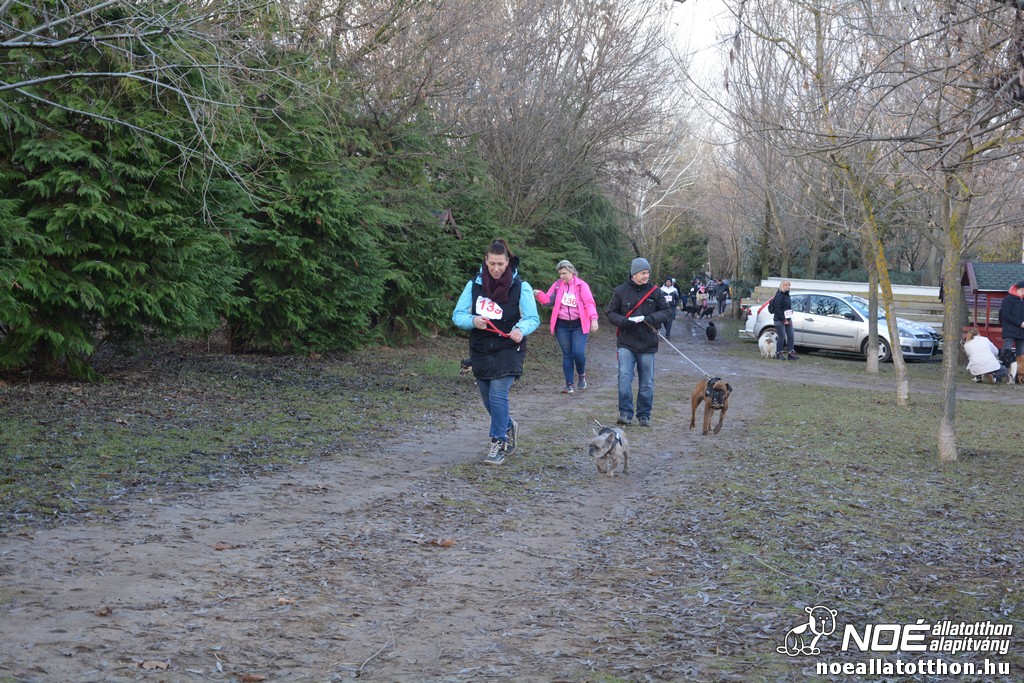 dsc_1265.jpg
