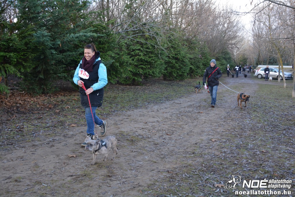 dsc_1266.jpg
