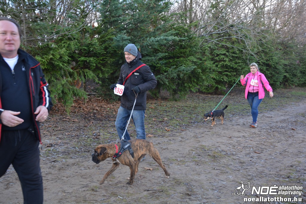 dsc_1267.jpg
